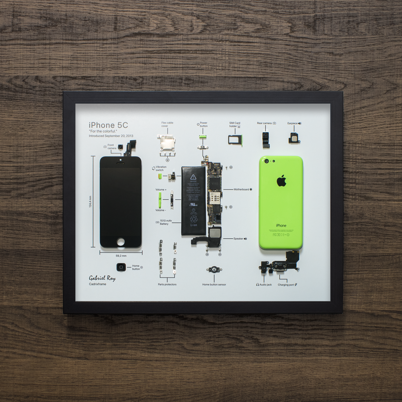 iPhone 5C disassembled in a frame