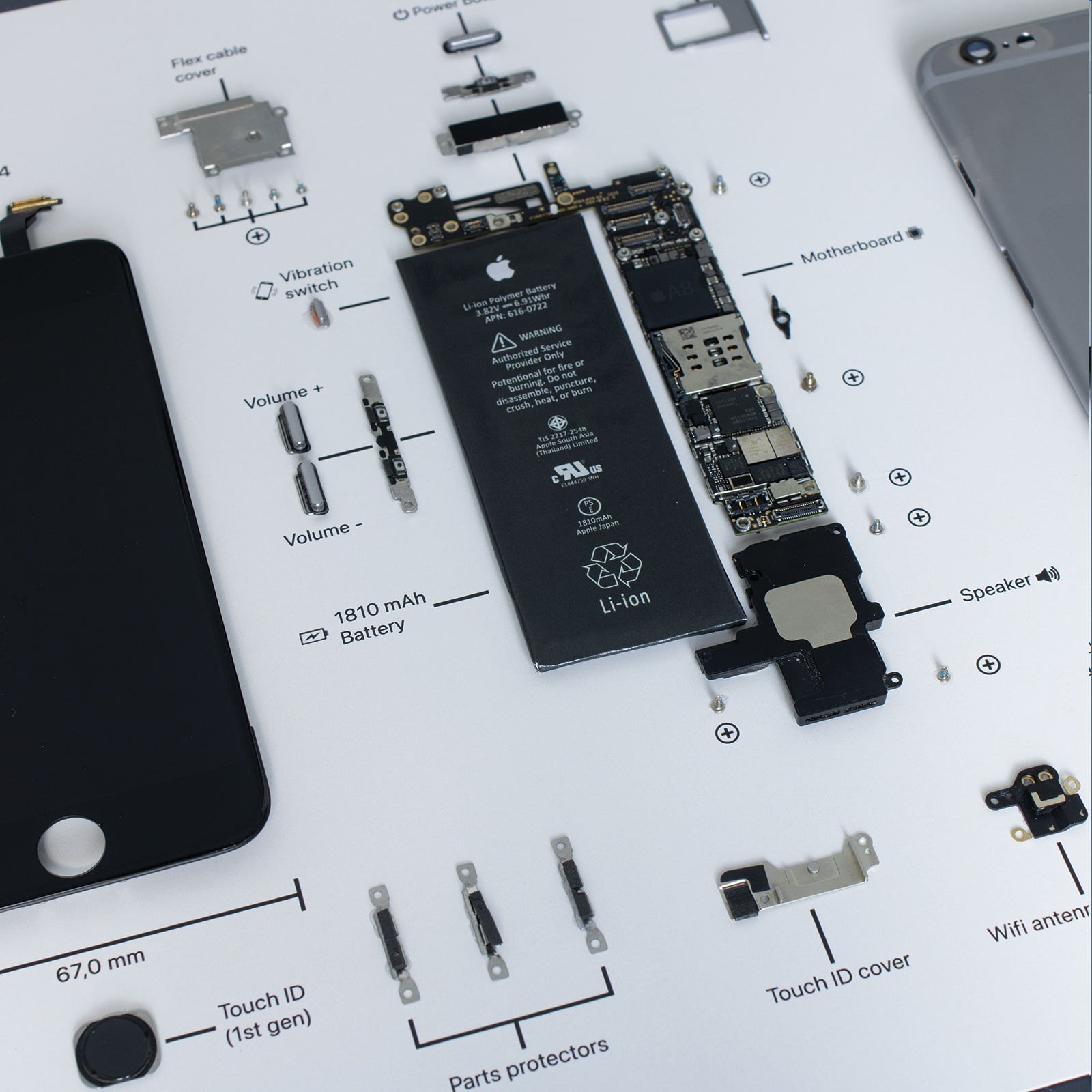 iPhone 6 disassembled in a frame