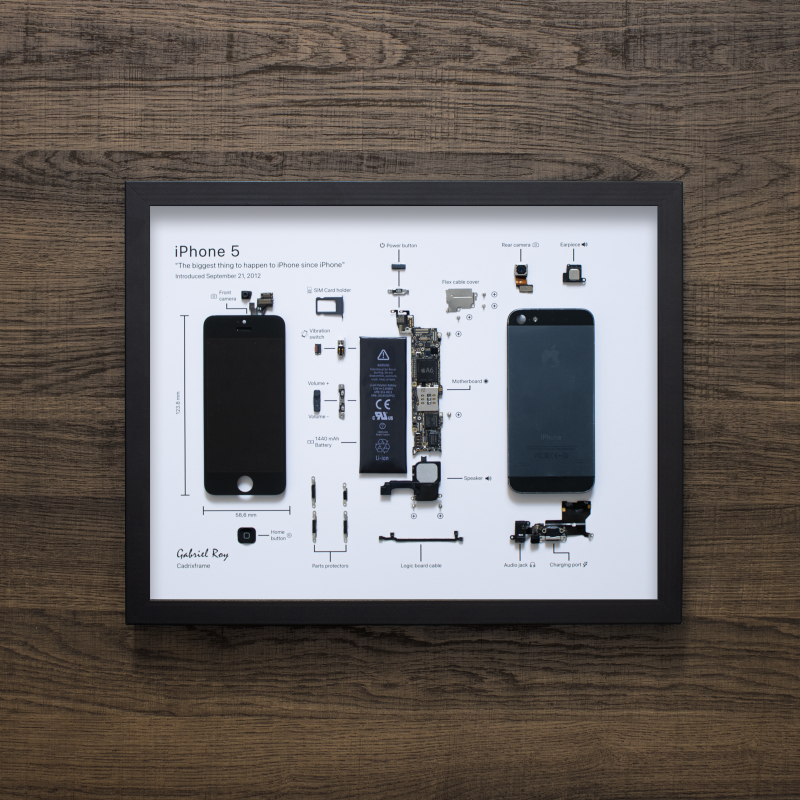 iPhone 5 disassembled in a frame