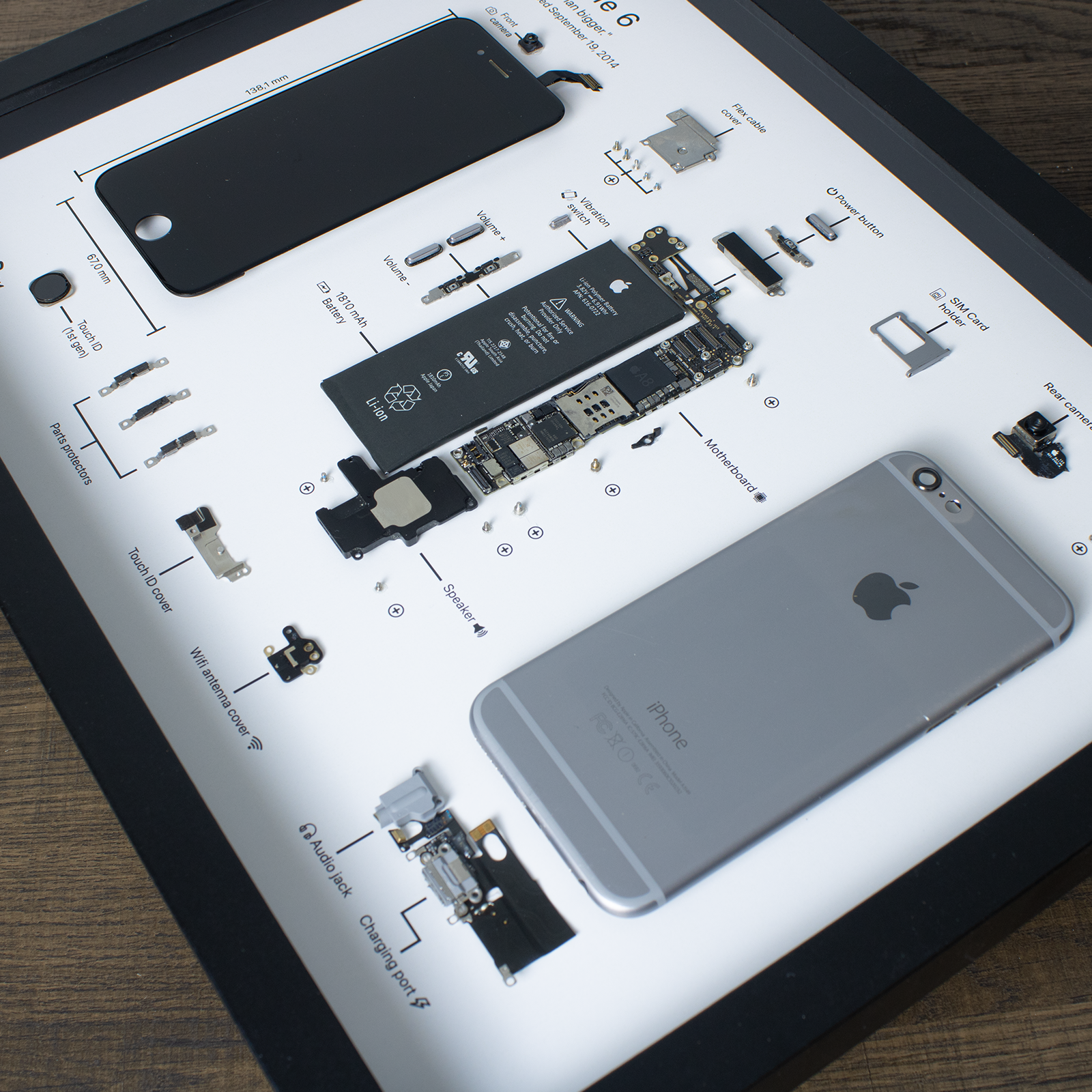 iPhone 6 disassembled in a frame